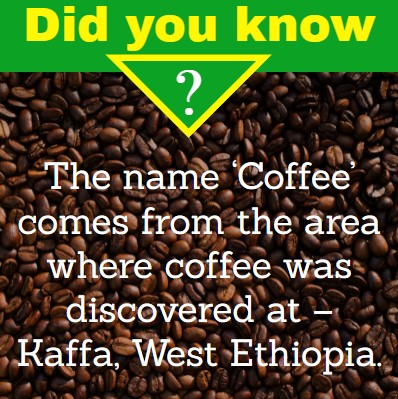 How Coffee gets its name