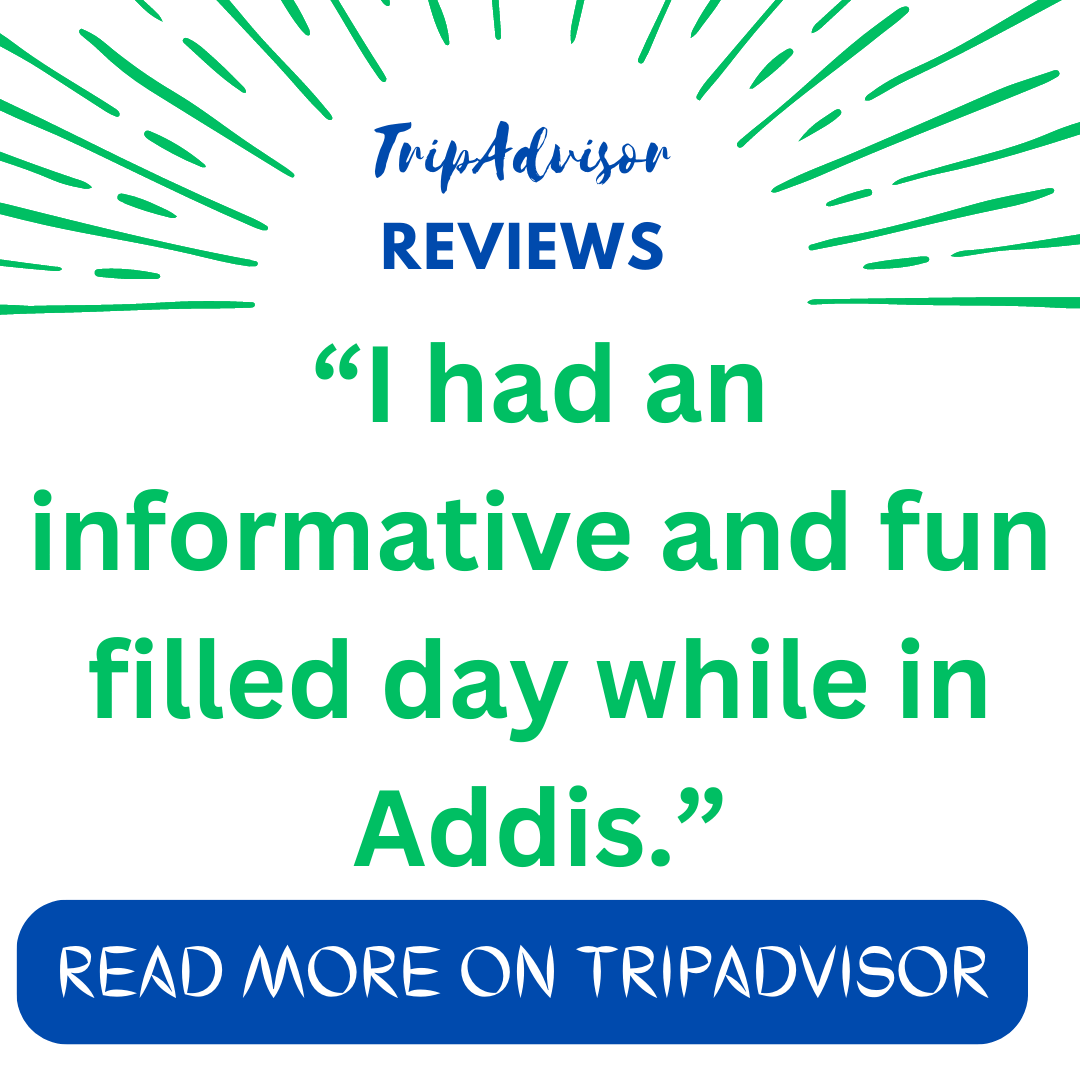 Reviews about Merit Tours on TripAdvisor