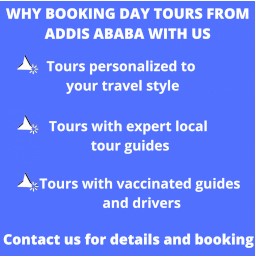 Reasons to book day tours near Addis Ababa
